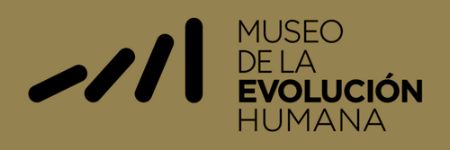 Logo des Museums der menschlichen Evolution